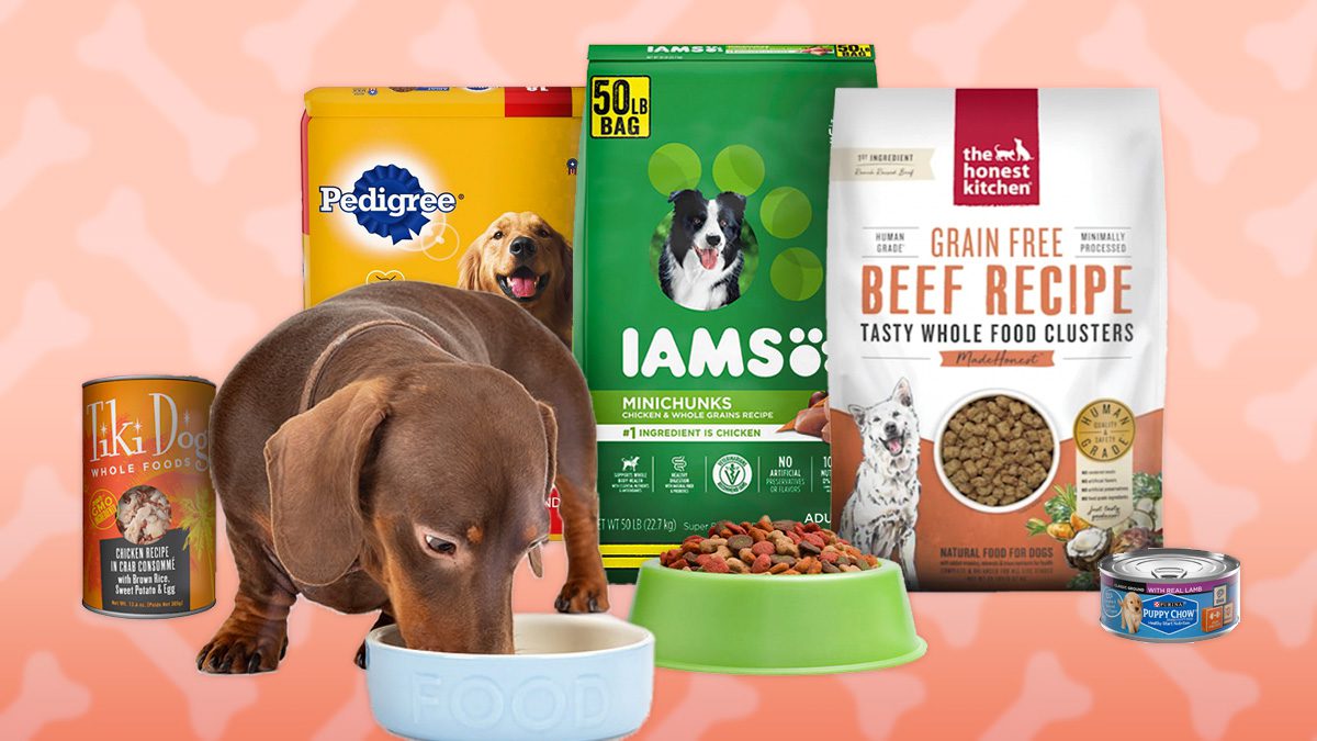 main image for keep your pup happy and full with these great dog foods