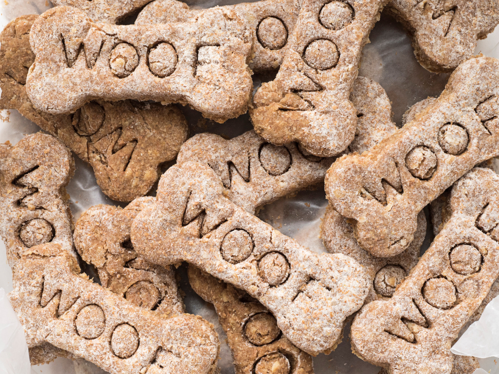 main image for the best dog treat makers