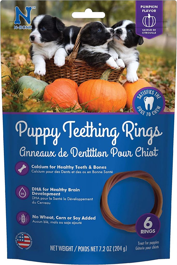 N-Bone Puppy Teething Ring Pumpkin Flavor