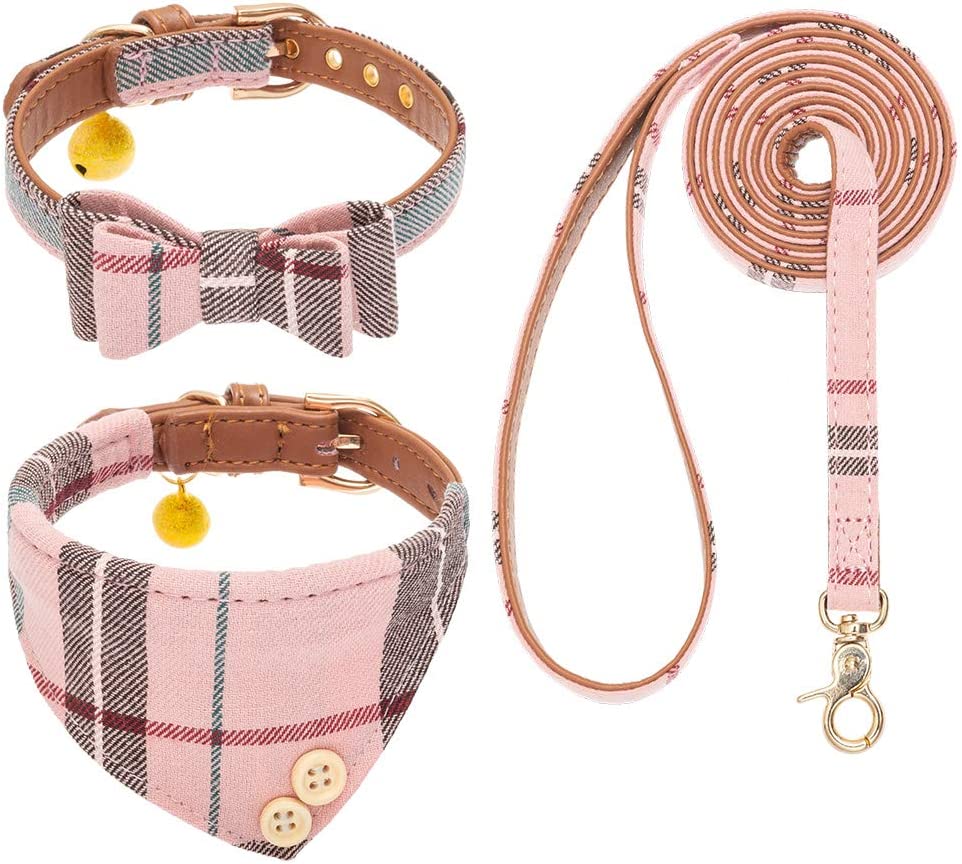 EXPAWLORER Dog Collar and Leash Set