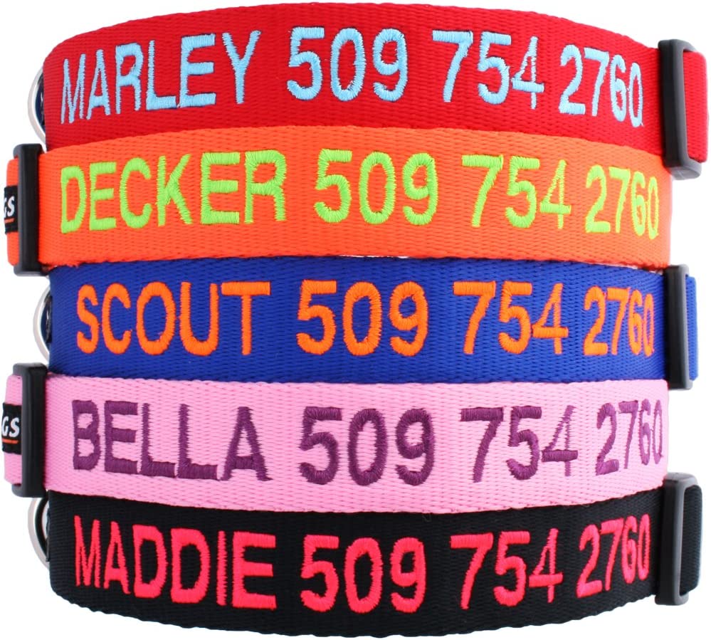 GoTags Personalized Dog Collar