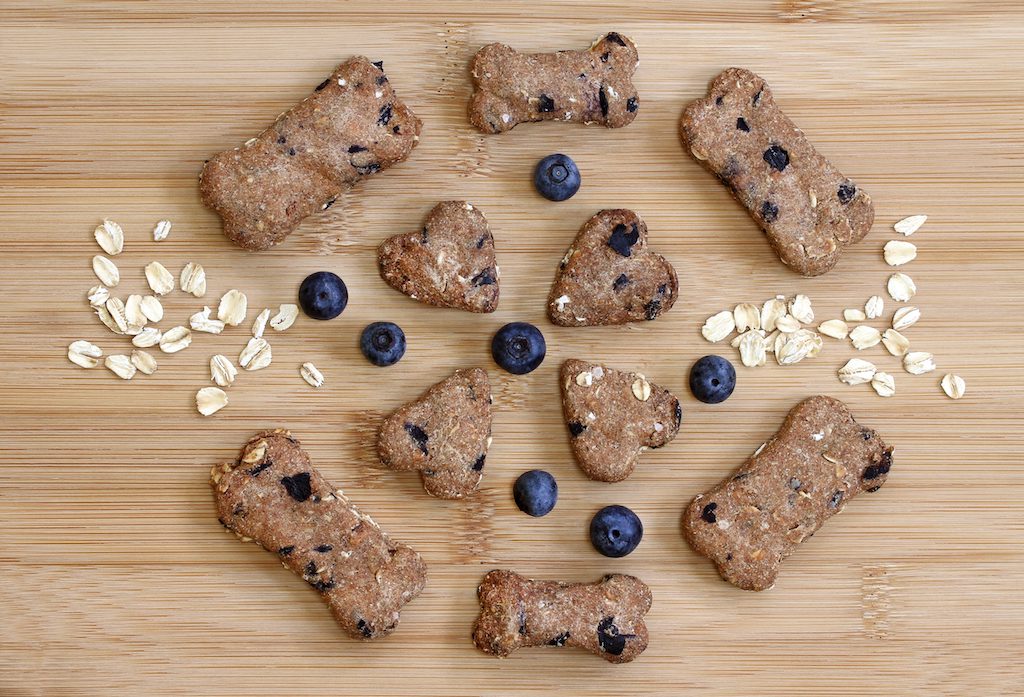 Best Blueberry Dog Treats