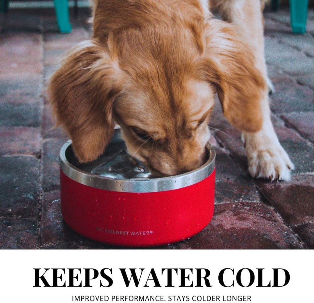 The Coldest Water Dog Bowl