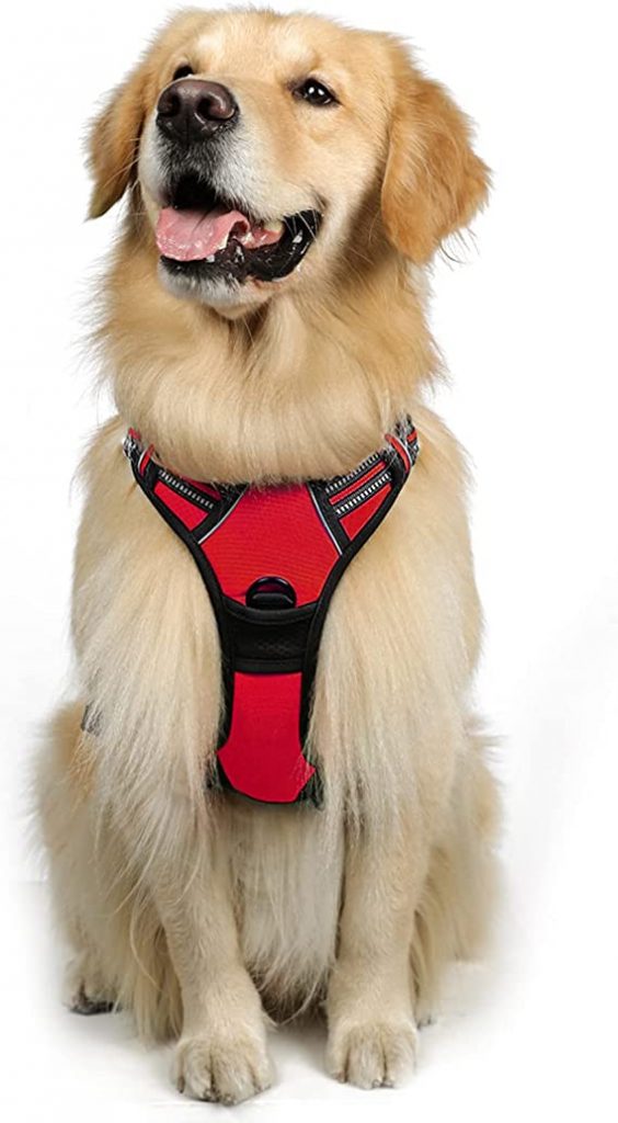 Rabbitgoo No-Pull Reflective Dog Harness