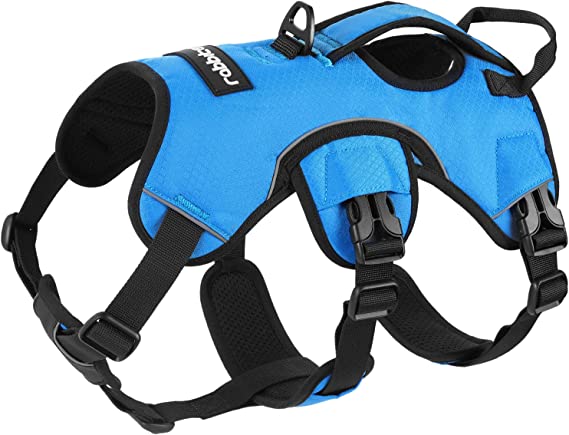 Rabbitgoo Escape Proof Reflective Dog Harness