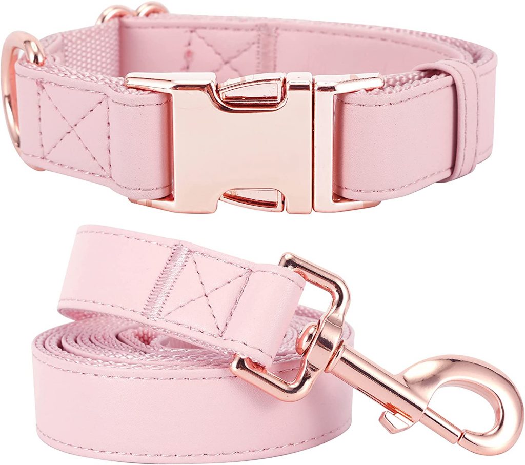 Pink and Rose Gold Leather Collar with Leash