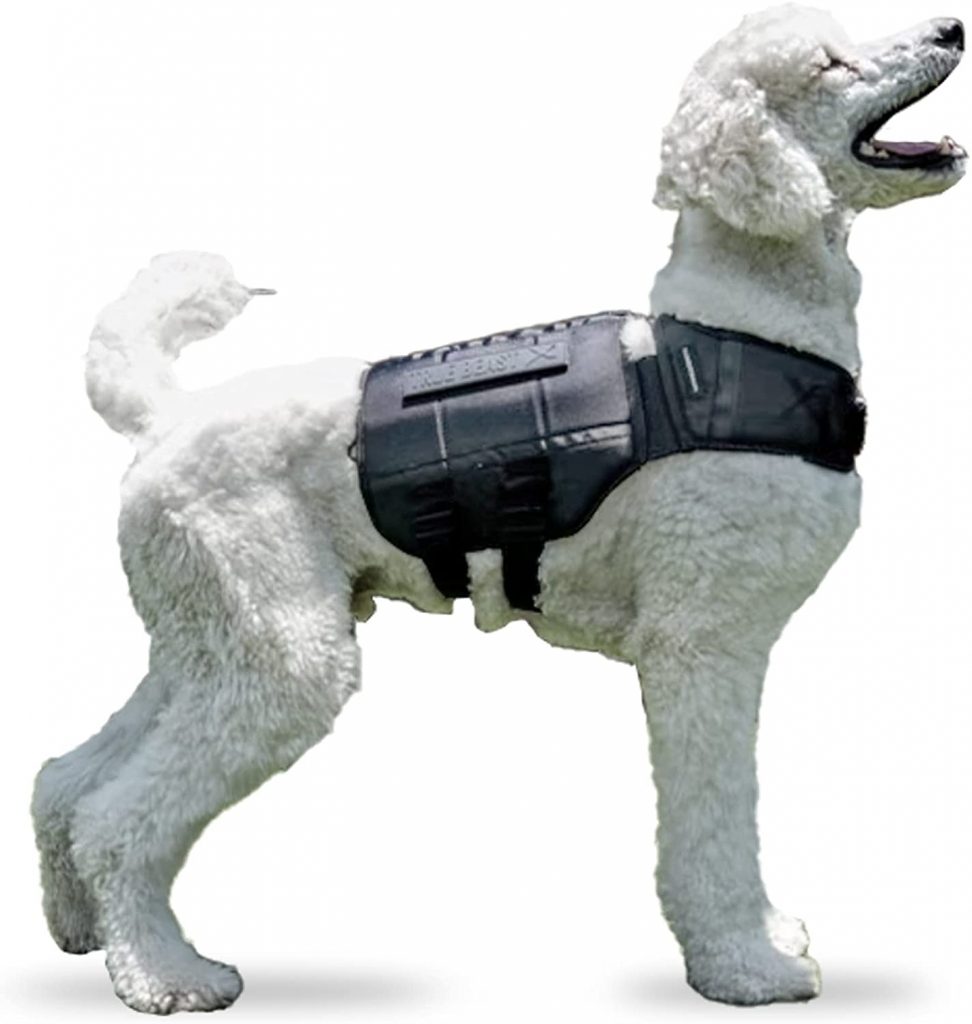 Xdog Weight & Fitness Vest for Dogs