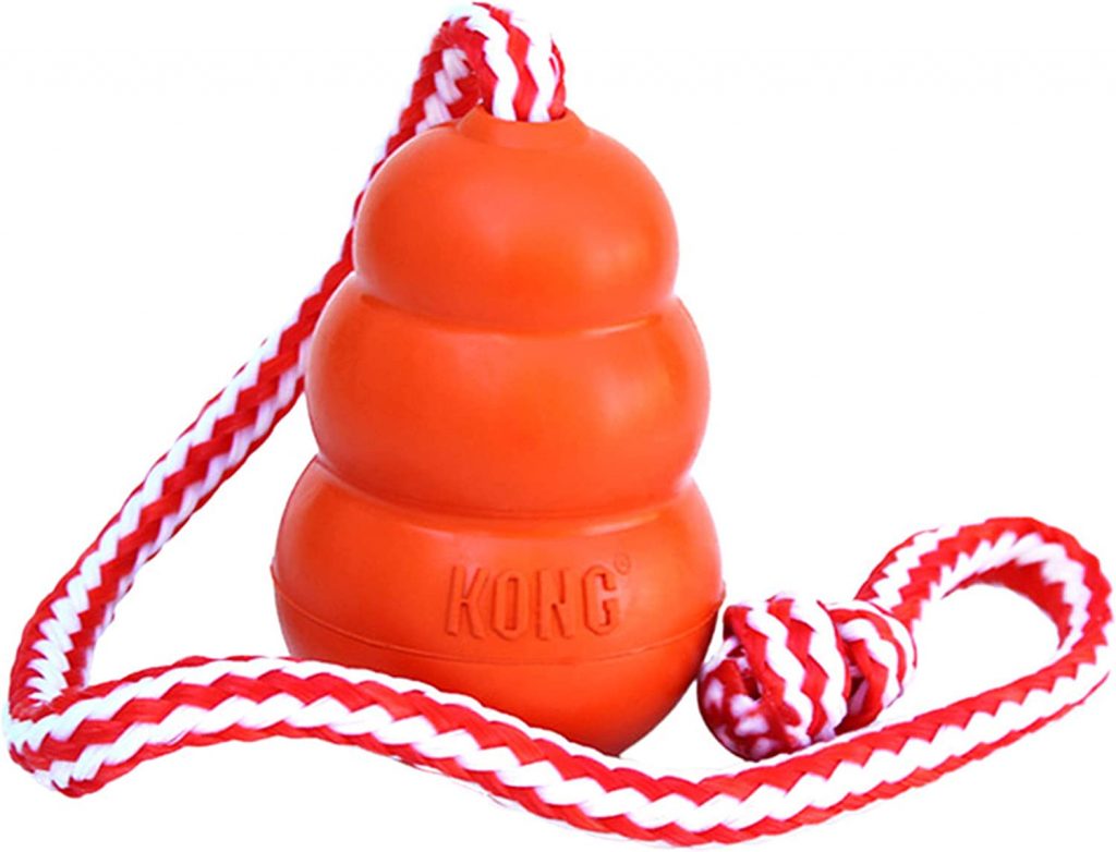 Kong Water Dog Toy