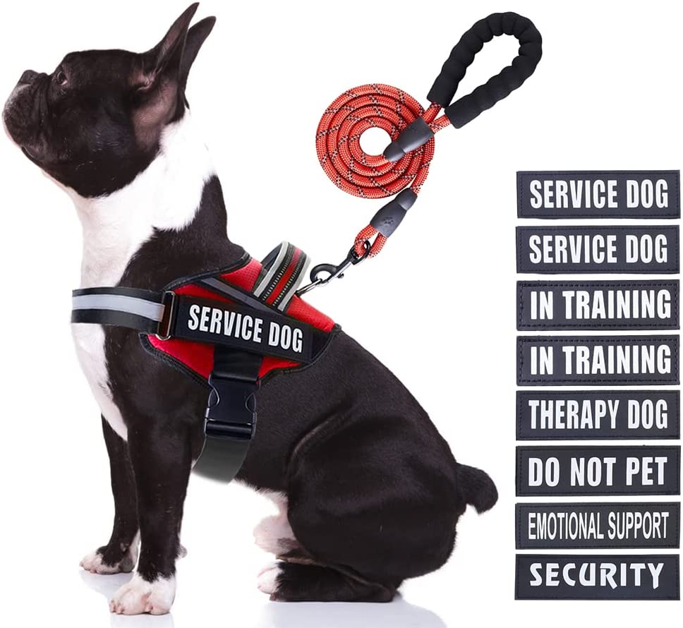 5 Of The Best 'Do Not Pet' Harnesses For Maximum Safety Dogtime