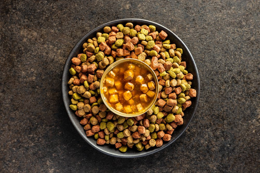 The 5 Best Dog Food Toppers For Picky Eaters Dogtime