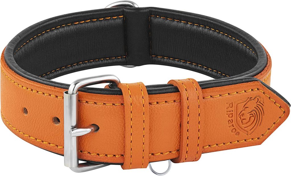 Riparo Adjustable & Padded Genuine Leather Collar