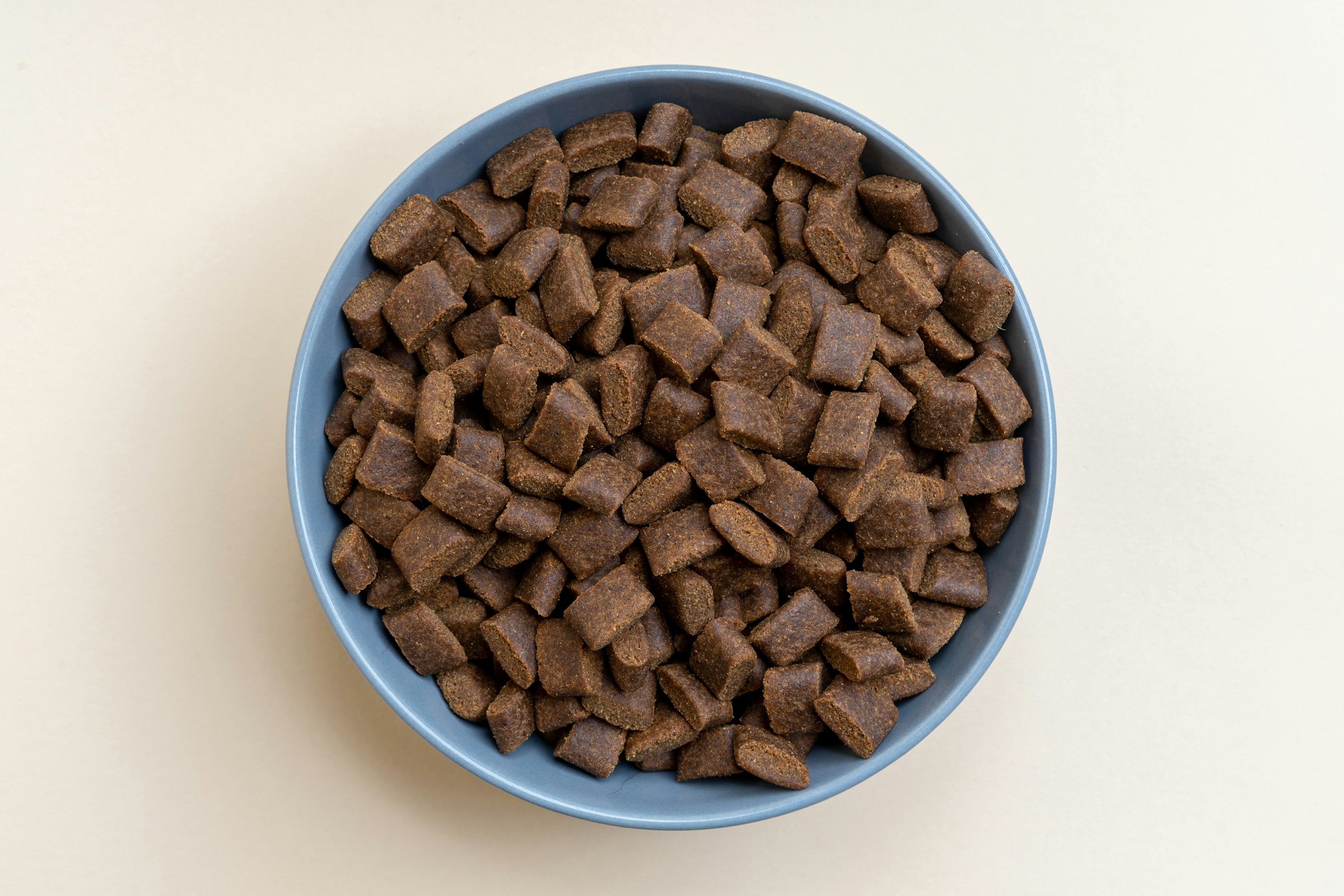 best organic dog food