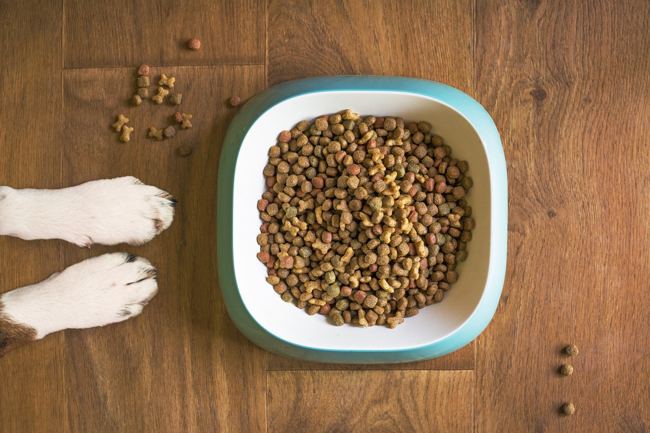 best dog food for gassy dogs