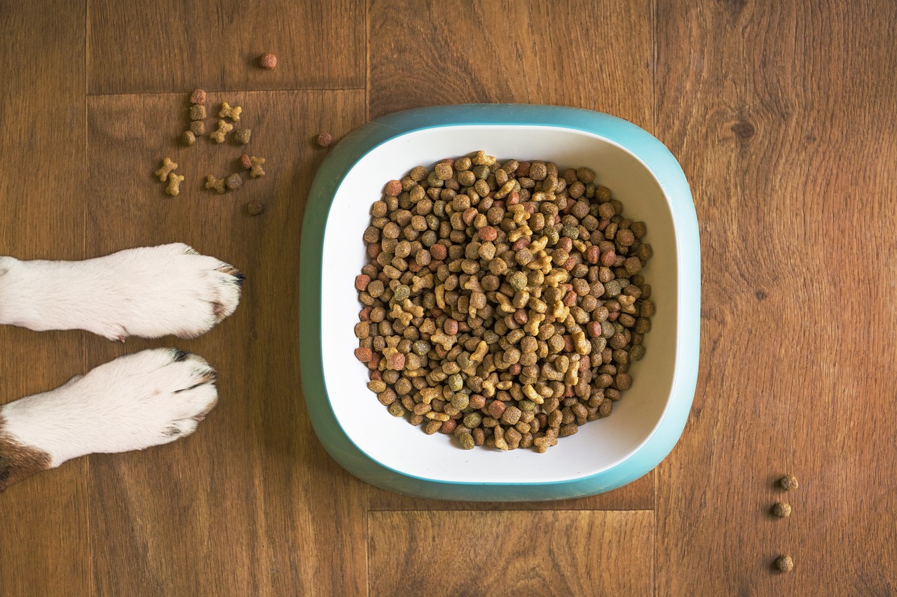 annamaet dog food review