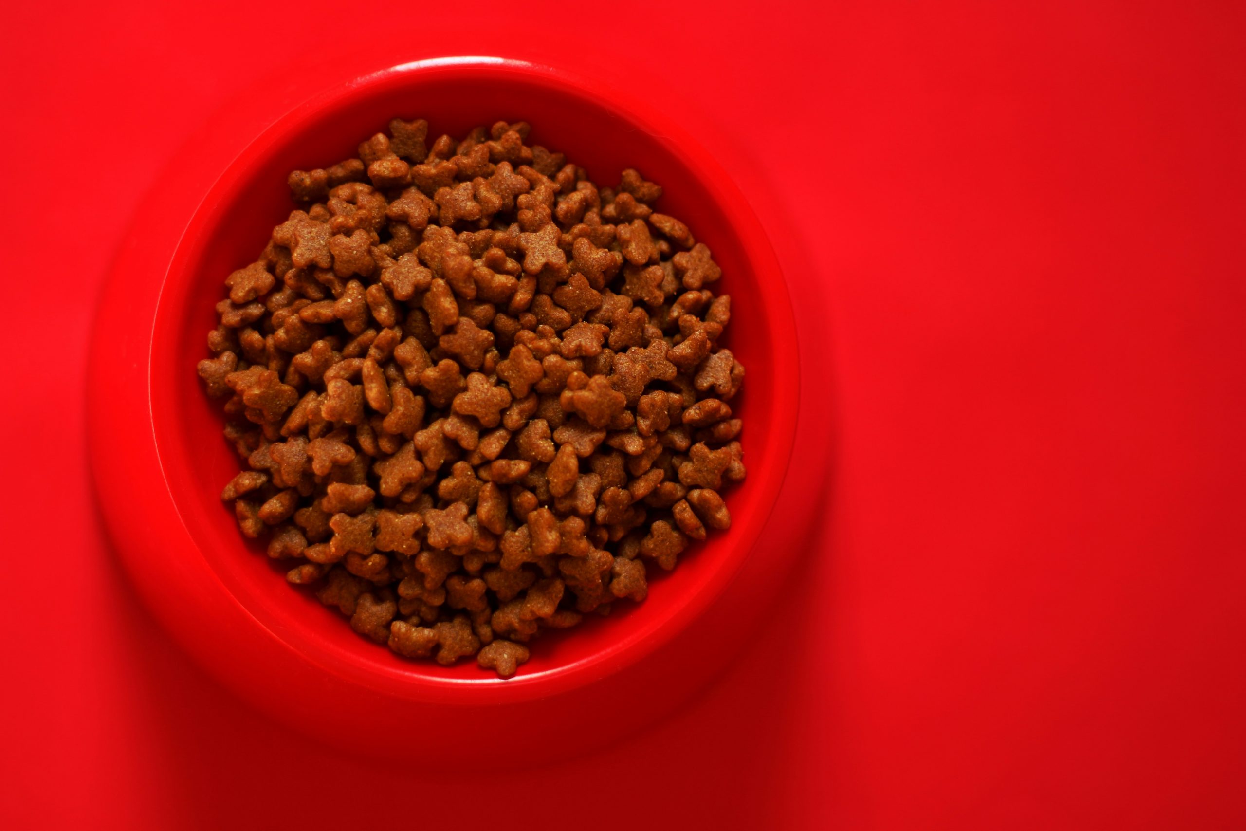 pedigree dog food review